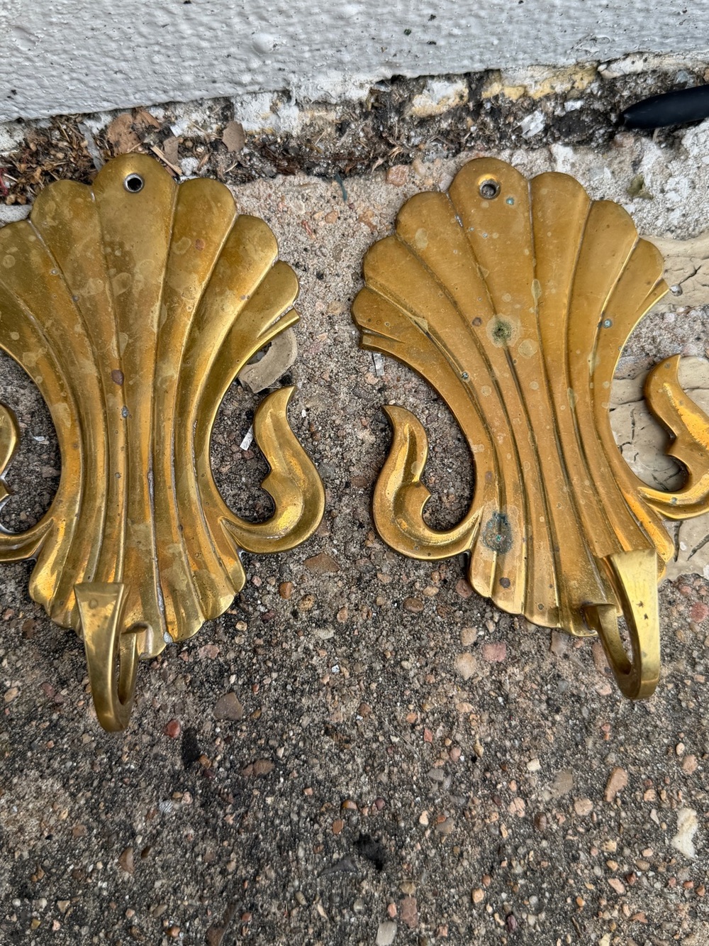 Vintage Brass Shell Wall Hooks - Gold Decorative Wall Decor